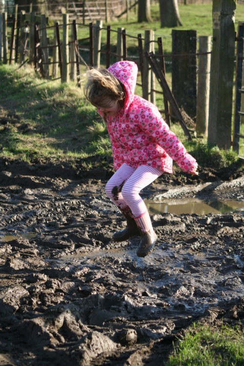 More jumping in mud and probably cow dung!